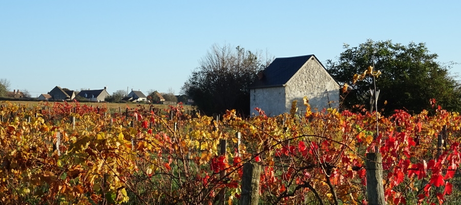 Dans l’immédiat