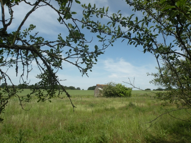 Ce petit bout de terrain cache des trésors à mettre en valeur