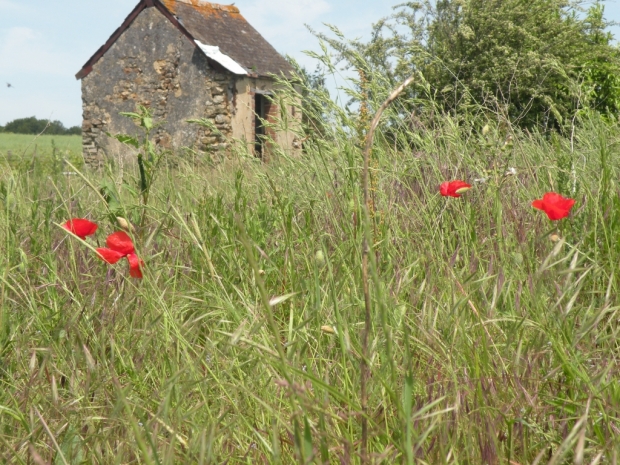 Quand  cabane de vigne rime avec patrimoine