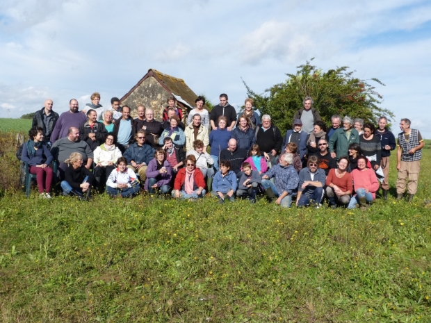 Vendanges 2013